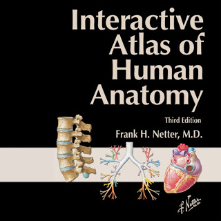 free interactive anatomy